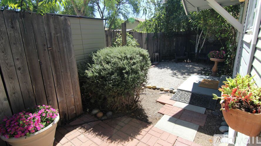 A backyard with a wooden fence and a small garden.