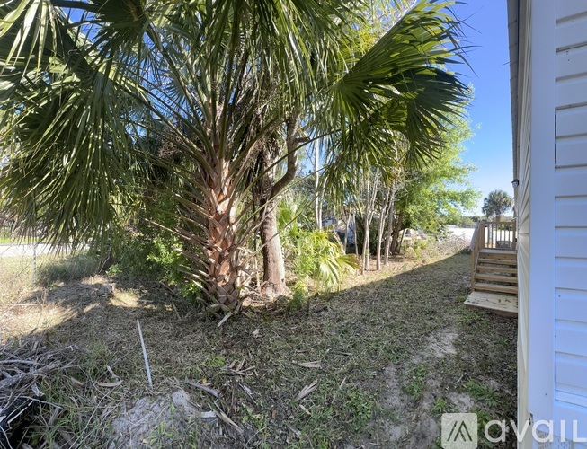 A palm tree is in the foreground of a sunny outdoor scene.