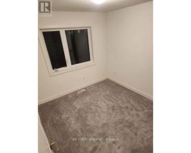 A room with a carpeted floor and a window.