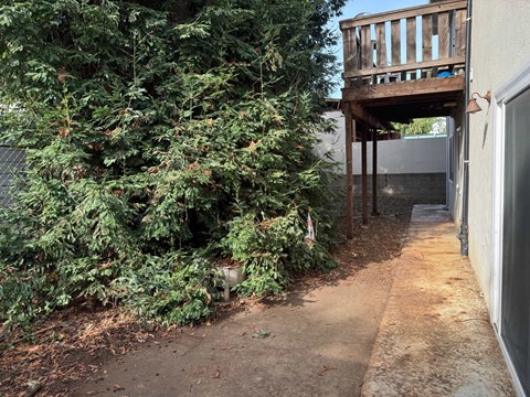 A tree is in front of a house.