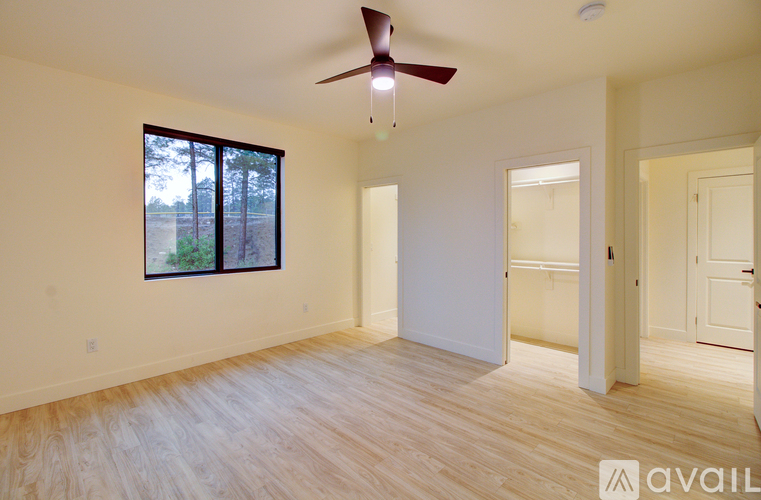 A room with a ceiling fan and a window overlooking a forest.