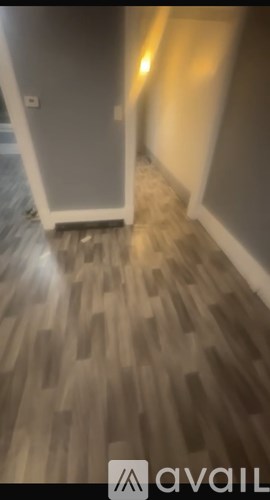 A hallway with a wooden floor and a white door.