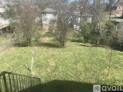 A grassy area with trees and a fence in the foreground.