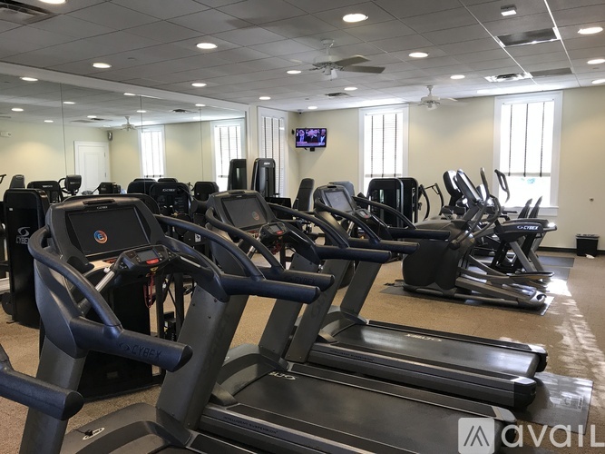A gym with treadmills and elliptical machines.