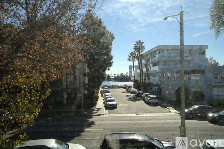 Cars parked on a street with trees on the side.