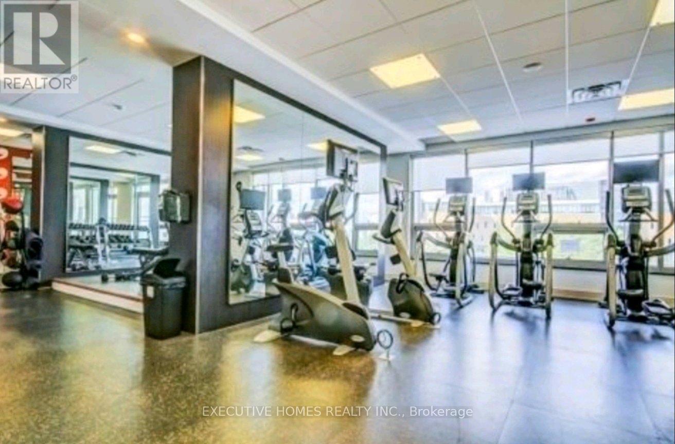 A gym with a variety of equipment including treadmills, weights, and exercise machines.