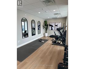 A gym with a mirror, a plant, and exercise equipment.