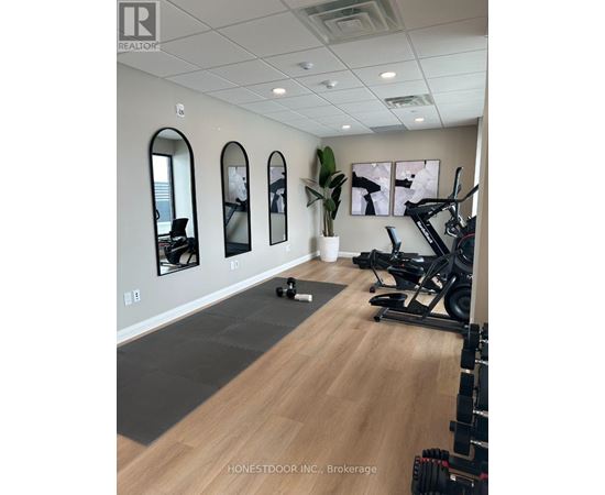 A gym with a mirror, a plant, and exercise equipment.