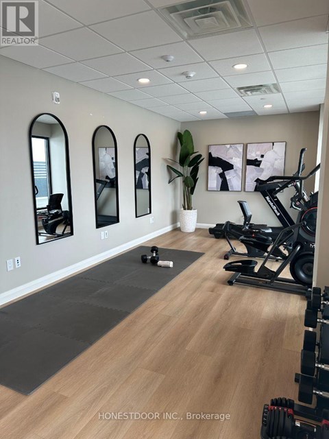 A gym with a mirror, a plant, and exercise equipment.