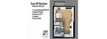 BF_Bachelor