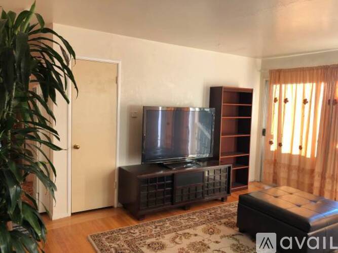 A living room with a television and a plant.