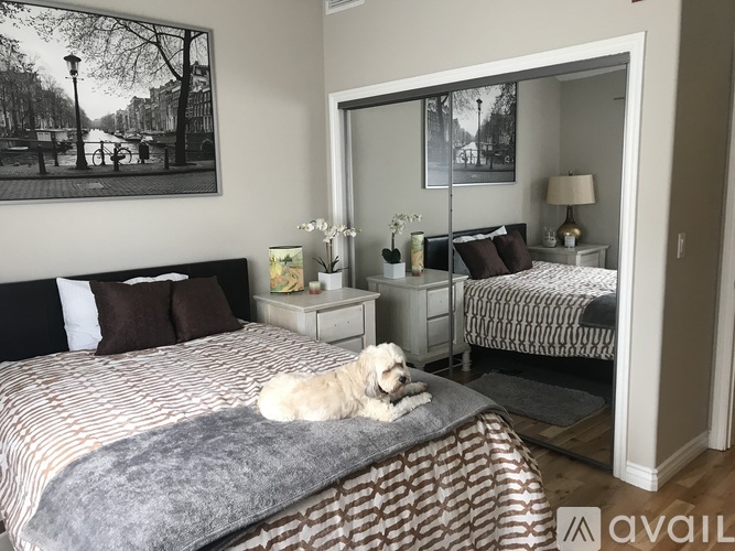 A dog is lying on a bed in a bedroom with a large mirror and a framed black and white photo on the wall.