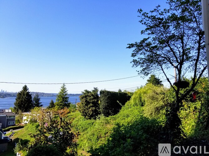 A view of a lush green landscape with a clear blue sky above.
