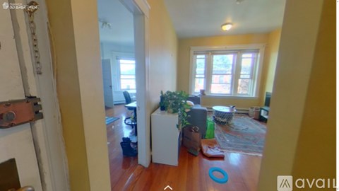 A living room with a couch, a plant, and a rug.