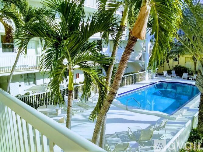 A pool surrounded by palm trees.