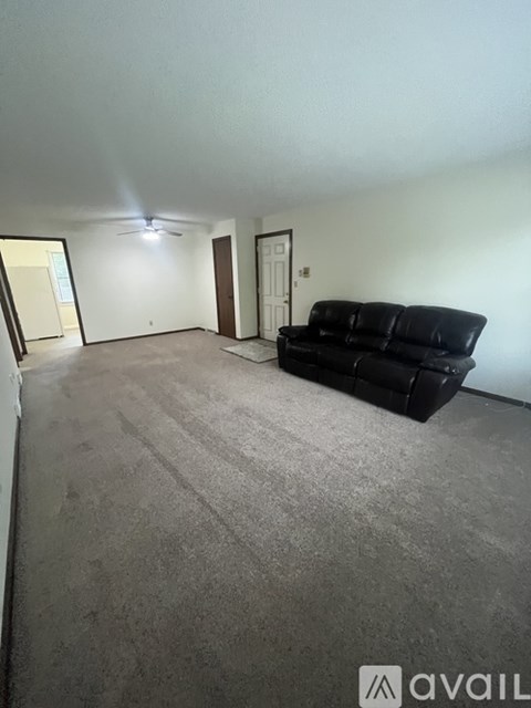 A living room with a black couch and grey carpet.