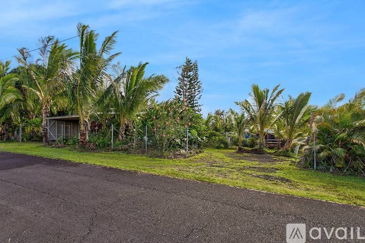 A parking lot with palm trees in the background.
