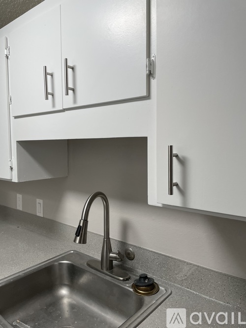A kitchen with a sink and cabinets.