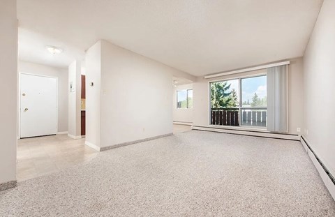 A spacious room with a carpeted floor and a window overlooking a tree.