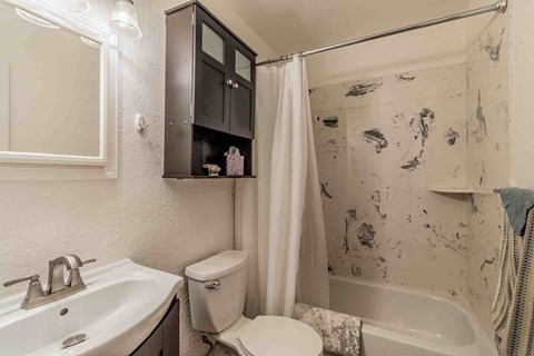 A bathroom with a toilet, sink, and shower.