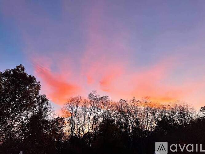 A beautiful sunset with pink clouds and trees silhouettes.