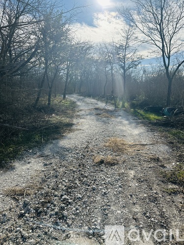 A dirt road in a wooded area with the sun shining through the trees.