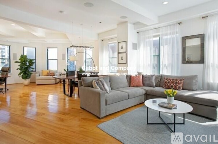 A living room with a grey sofa, a coffee table, and a plant.