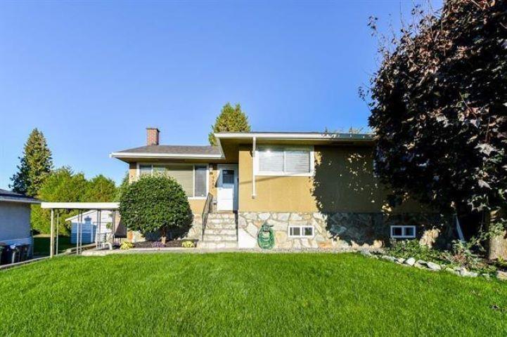 A house with a green lawn and a tree in front.