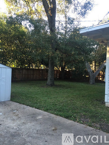 A backyard with a tree and a shed.