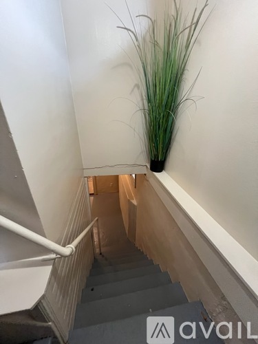 902 5th Ave S 3 Beds Single Family Home for Rent - Photo gallery 3