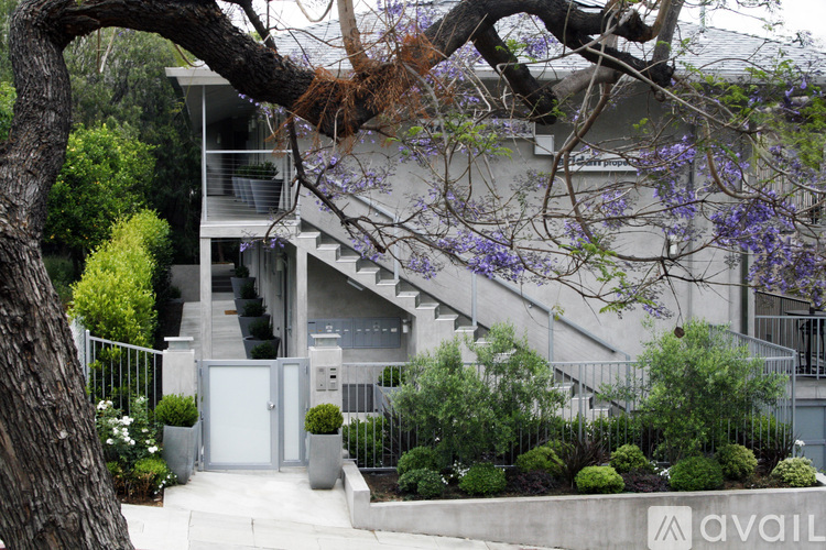 A modern house with a tree in front of it.