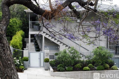 A modern house with a tree in front of it.