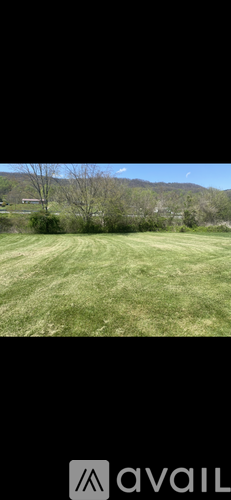 A grassy field with a mountain in the distance.