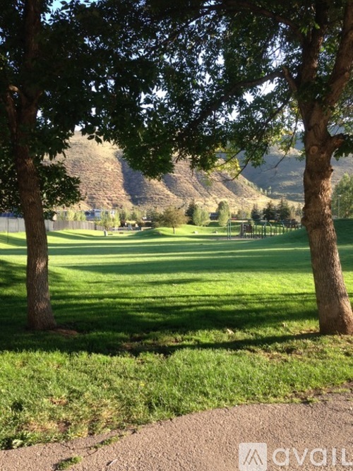 A grassy field with trees and a mountain in the background.