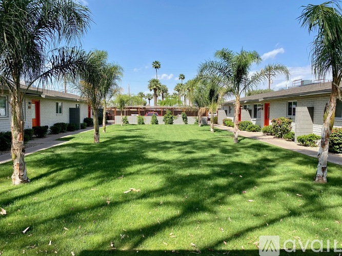 A sunny day at a residential area with houses and palm trees.