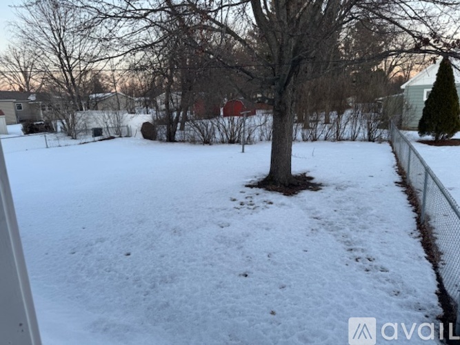 A snow-covered yard with a fence and trees.