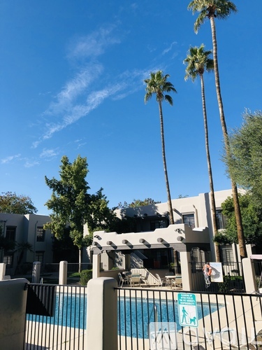 A pool surrounded by palm trees and a building in the background.