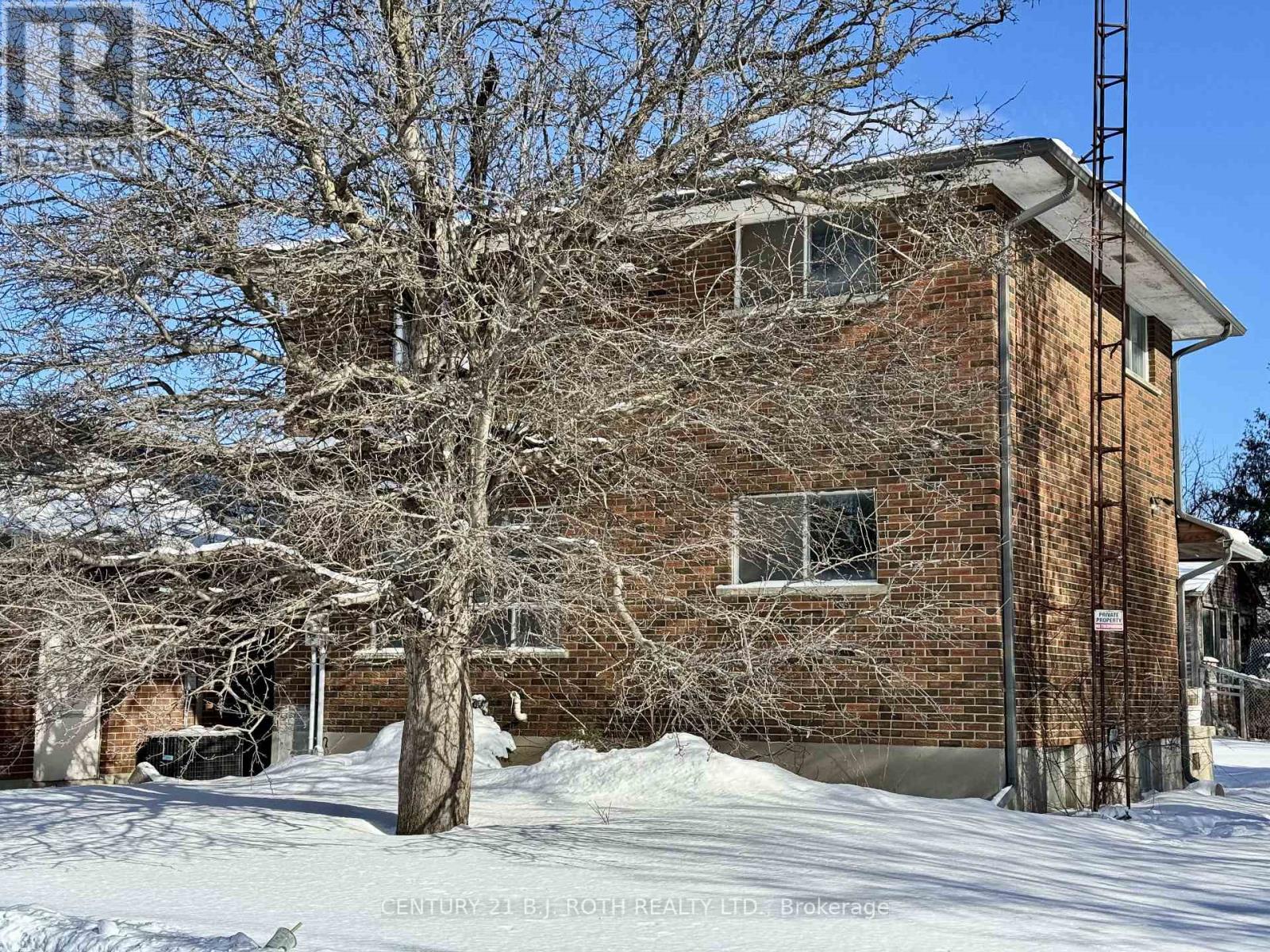 A snow-covered tree stands in front of a brick building.