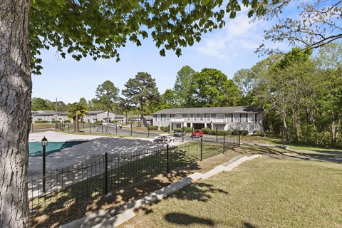 A tree is in the foreground of a residential street.