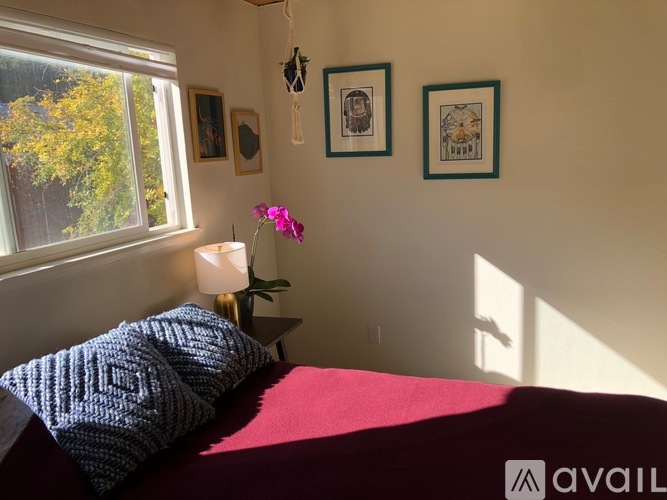 A bedroom with a bed, pillows, a nightstand with a lamp, and pictures on the wall.