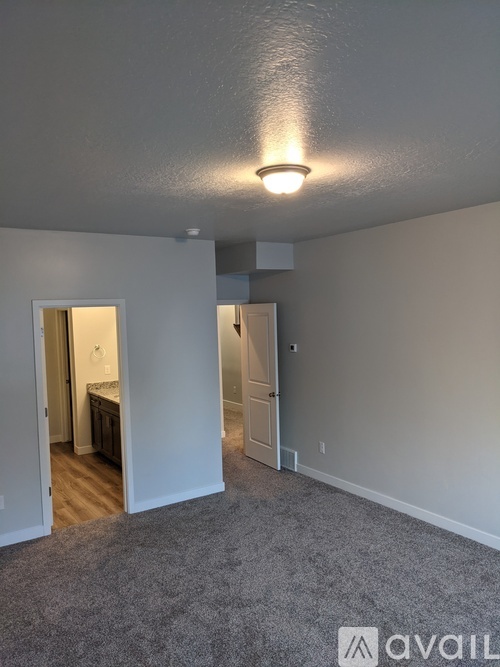 A room with a carpeted floor and a ceiling light.