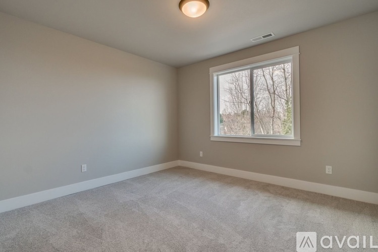 A room with a carpeted floor and a window showing trees outside.