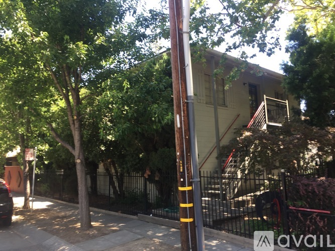 A tree in front of a house with a black fence.