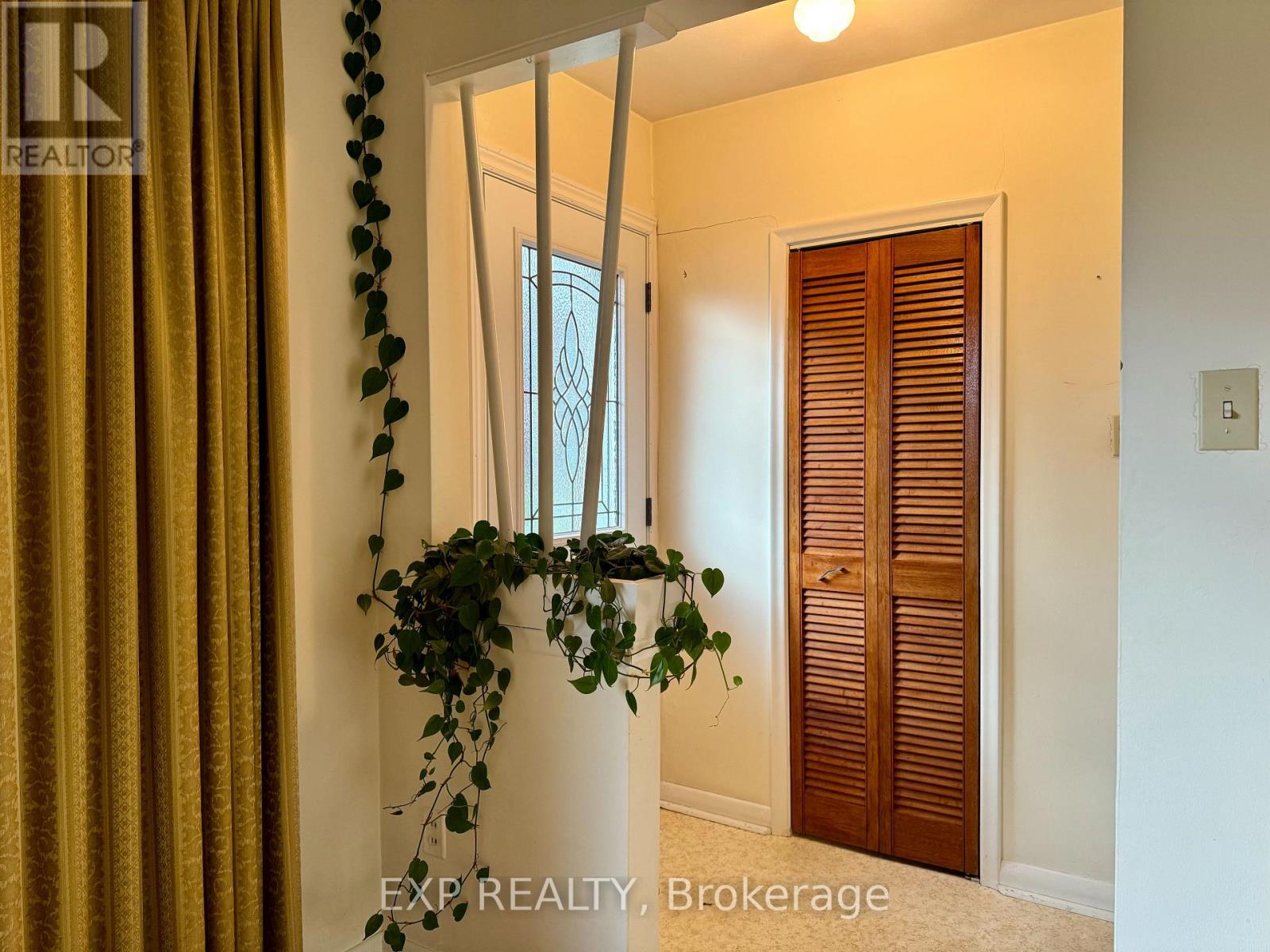 A room with a plant hanging from the ceiling and a door with wooden shutters.