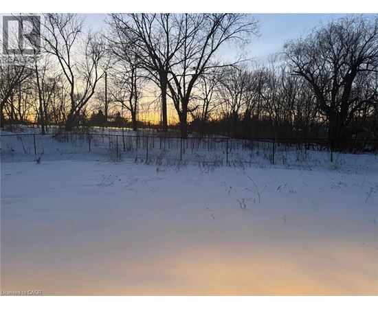 A snowy field with trees and a sunset in the background.