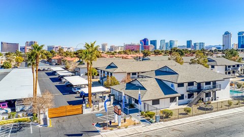 A sunny day in a residential area with a city skyline in the distance.