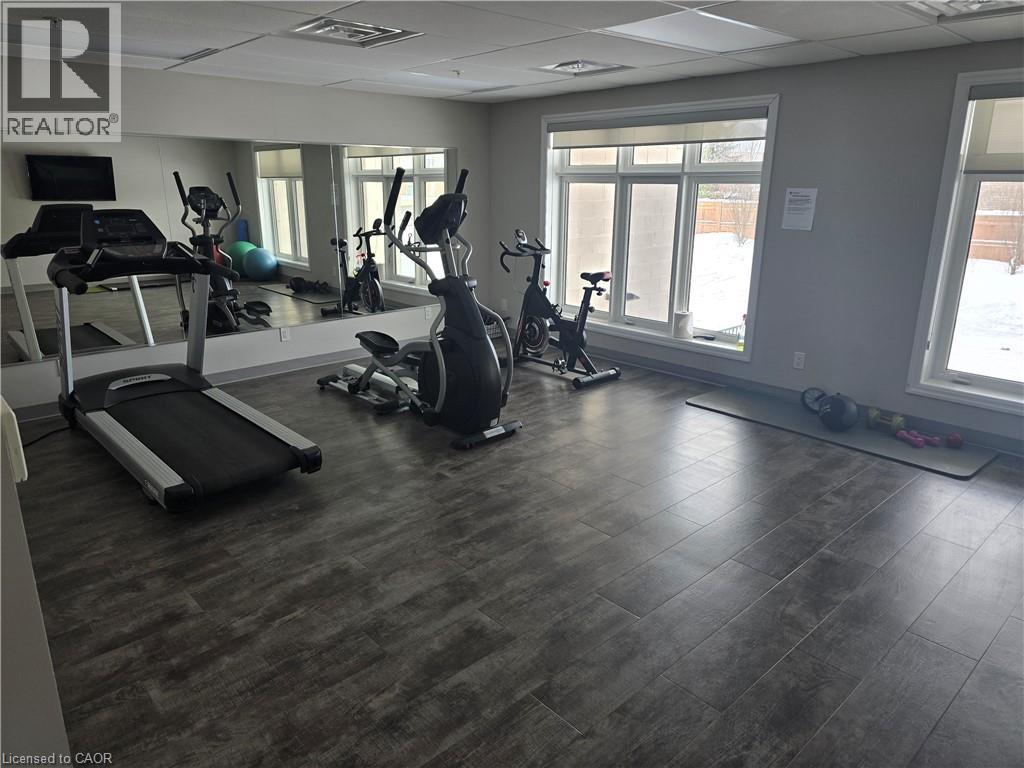 A gym with treadmills, exercise bikes, and other equipment.