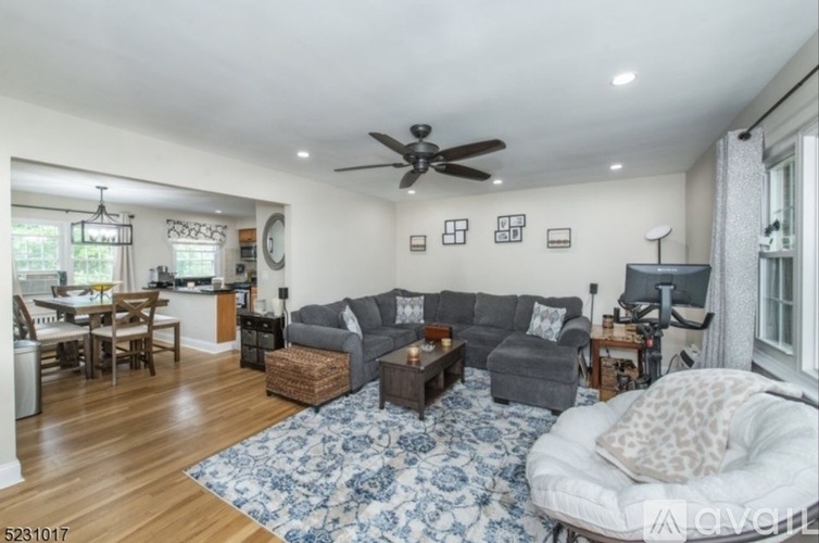 A living room with a grey couch and a blue rug.
