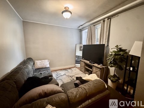 A living room with a couch, a television, and a plant.