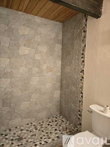 A bathroom with a tiled shower and a toilet.